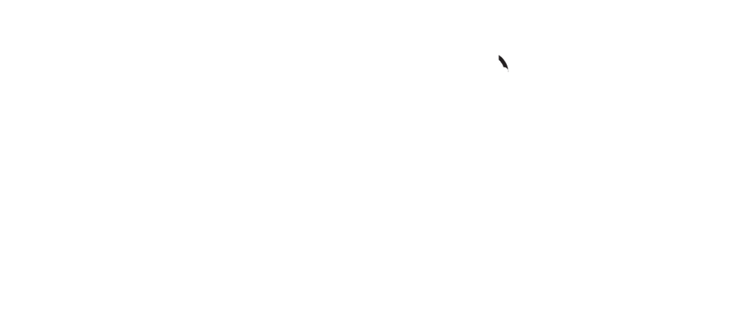 Prestige Leisure
